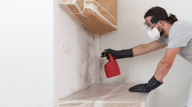 Professional Mold Inspection And Testing technician working in Onekama, MI